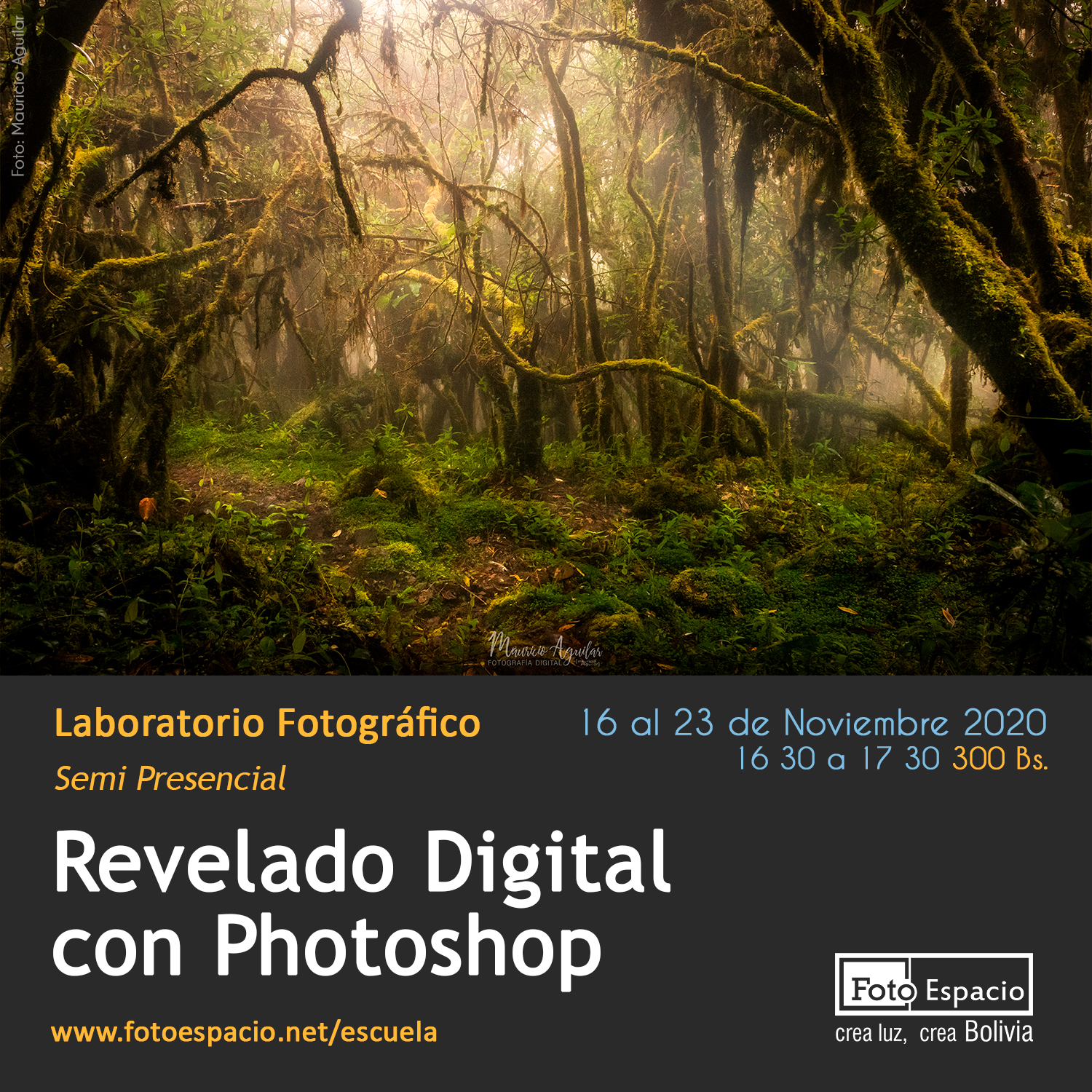 Taller En Línea- La Post Fotografía